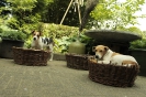 Genieten!!!
