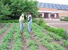 Samen aan het werk in de moestuin!